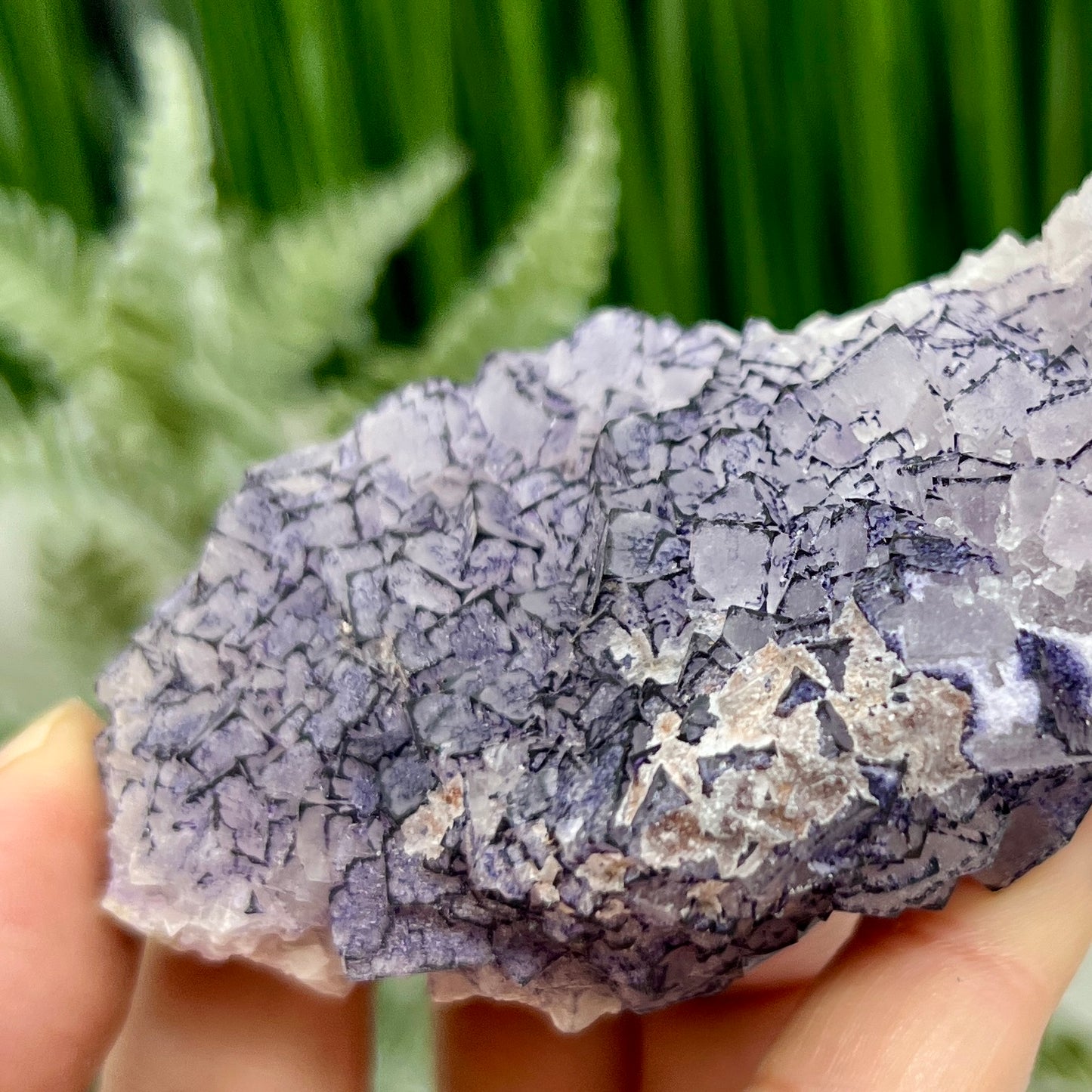 Purple Fujian Fluorite RARE Raw Mineral Specimen Healing Natural Crystal 144g
