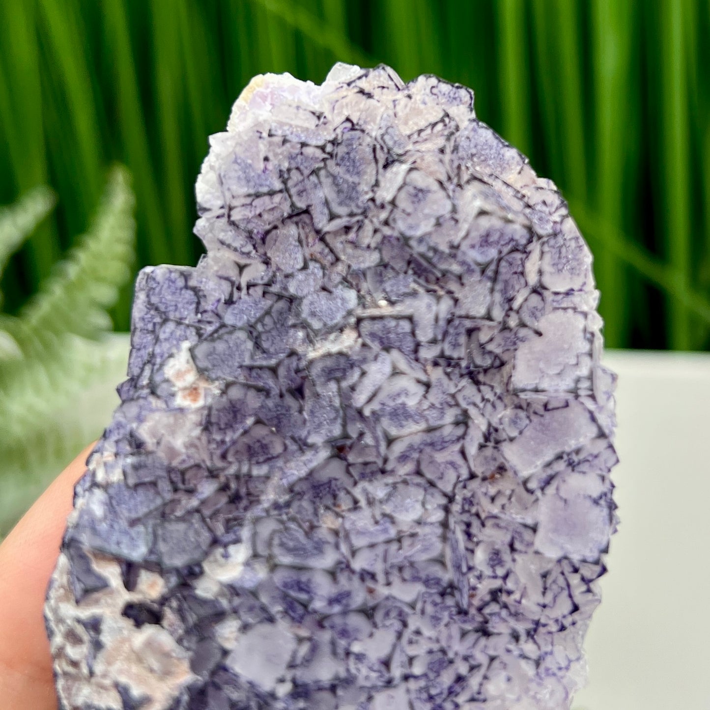 Purple Fujian Fluorite RARE Raw Mineral Specimen Healing Natural Crystal 144g