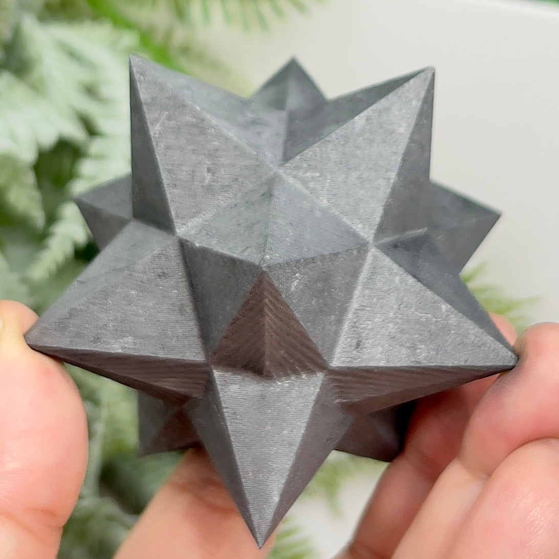 Shungite Merkabah EMF Protection Crystal Carving