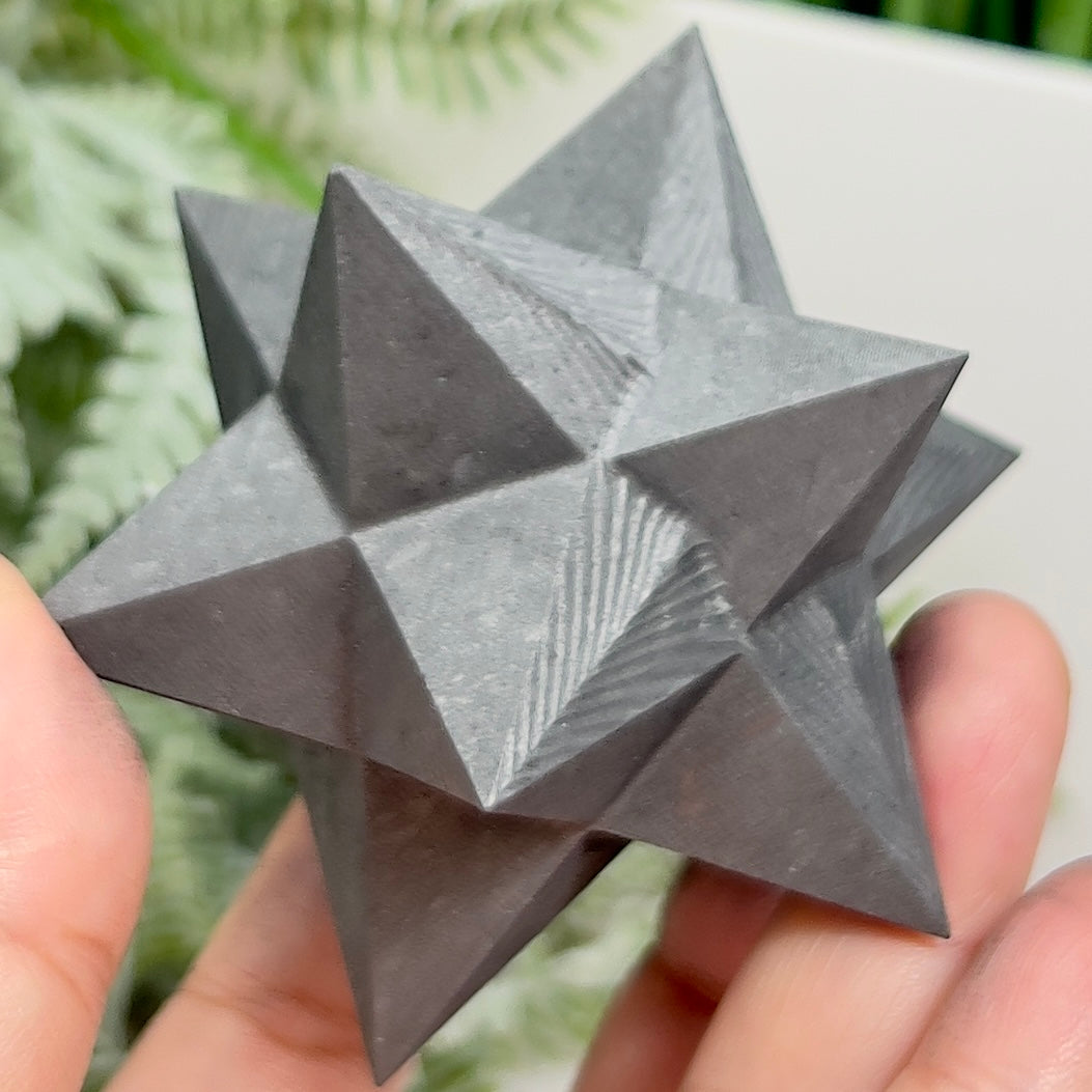 Shungite Merkabah EMF Protection Crystal Carving