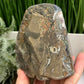 Amethyst Geode Cluster Cave Healing Natural Crystal 922g