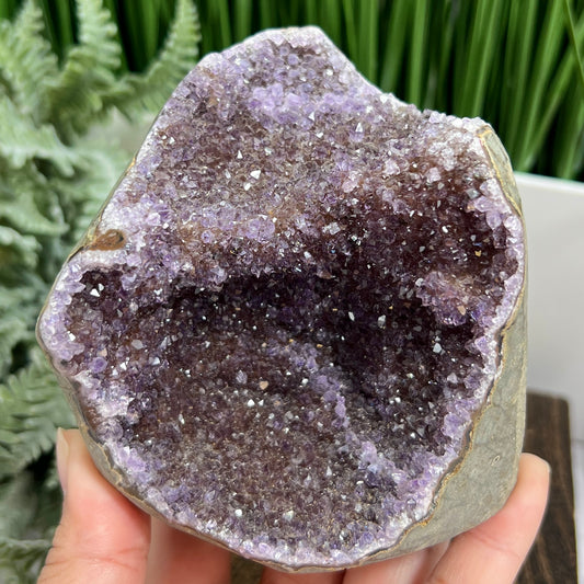 Ametrine Amethyst Citrine Geode Cluster Cave Healing Natural Crystal 722g