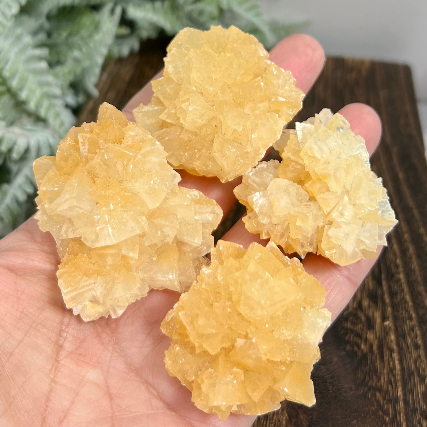 Yellow Calcite Clusters Natual Raw Specimens Crystals YOU CHOOSE