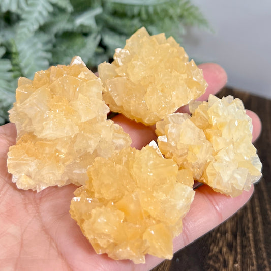 Yellow Calcite Clusters Natual Raw Specimens Crystals YOU CHOOSE