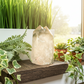 Lodolite Garden Scenic Quartz Free Form Natural Healing Crystal Generator 462g