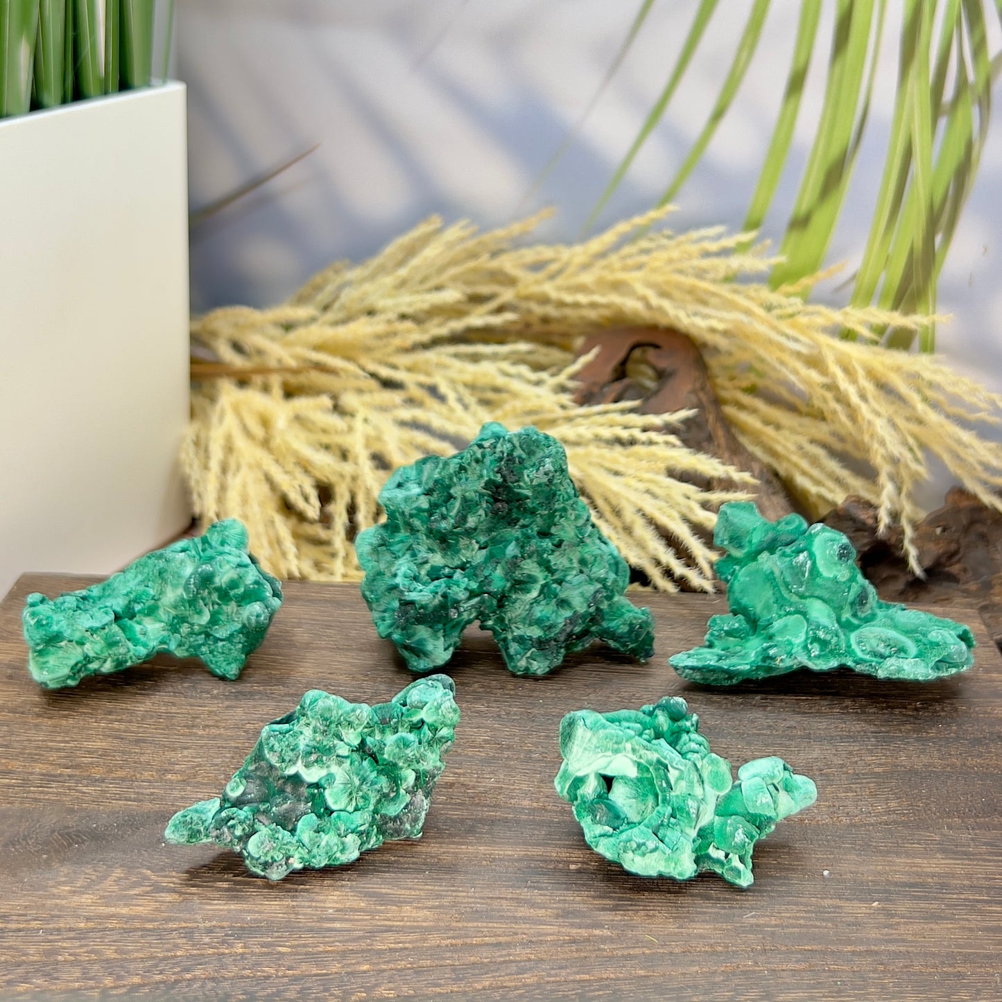 Malachite Specimen Raw Crystal Gemstone YOU CHOOSE