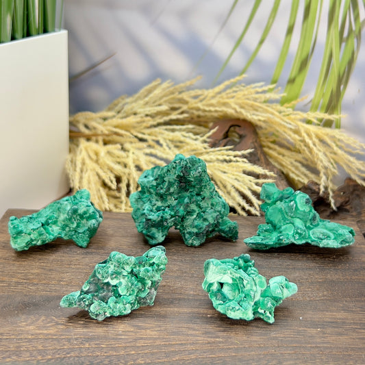 Malachite Specimen Raw Crystal Gemstone YOU CHOOSE