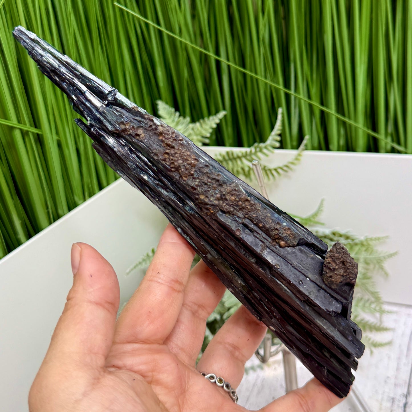 Vivianite RARE Specimen Natural Raw Crystal with Stand 306g 215mm