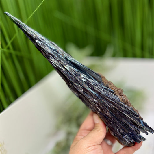 Large Vivianite RARE Specimen Natural Raw Crystal 546g 275mm