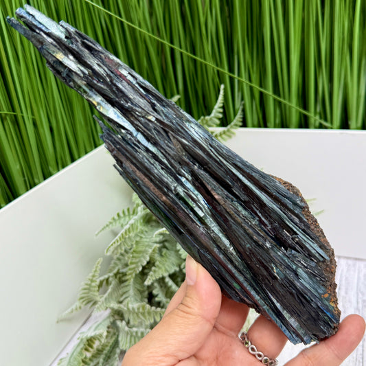 Vivianite RARE Specimen Natural Raw Crystal 302g 217mm