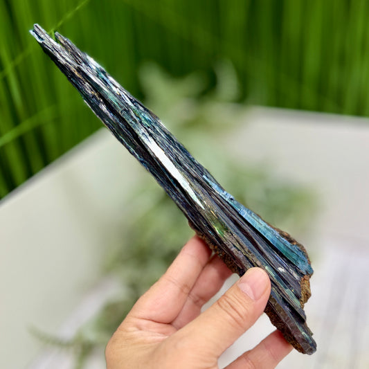 Vivianite RARE Specimen Natural Raw Crystal 248g 240mm