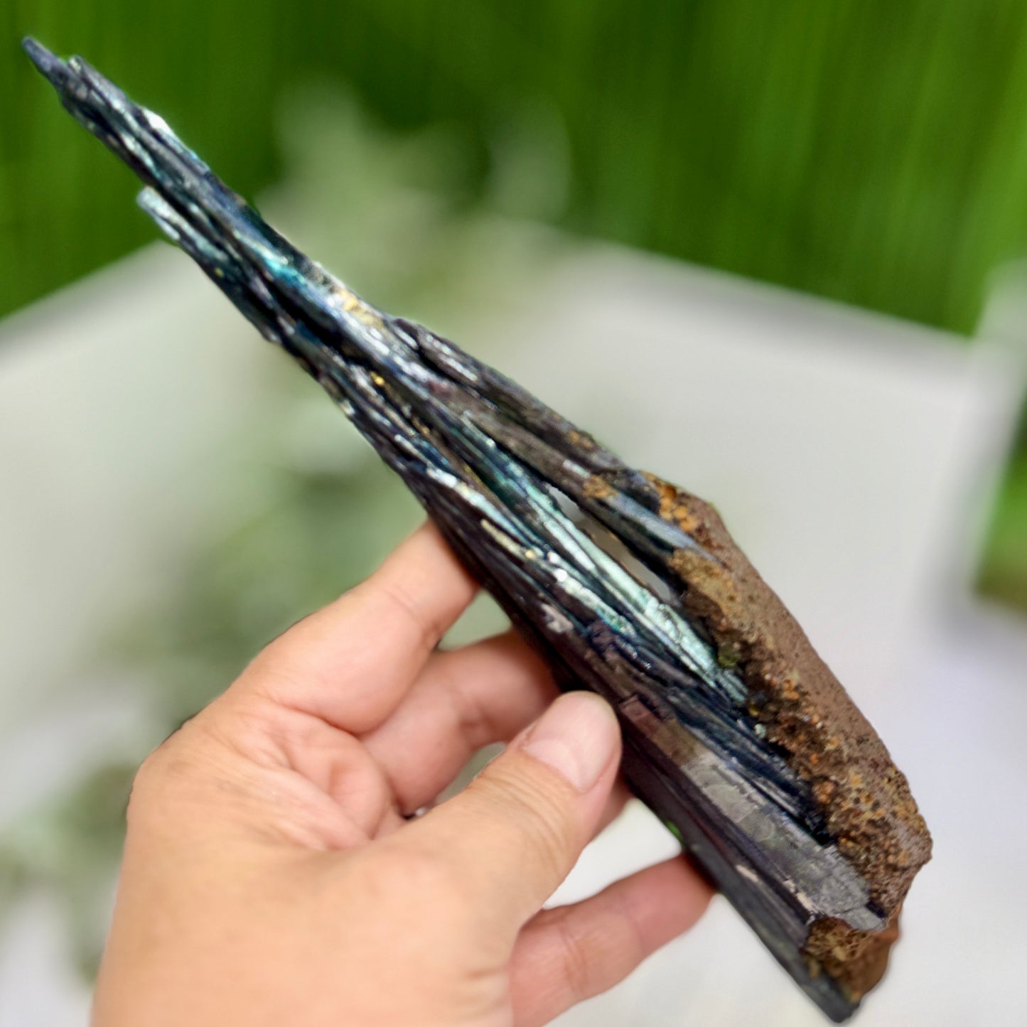 Vivianite RARE Specimen Natural Raw Crystal 248g 240mm