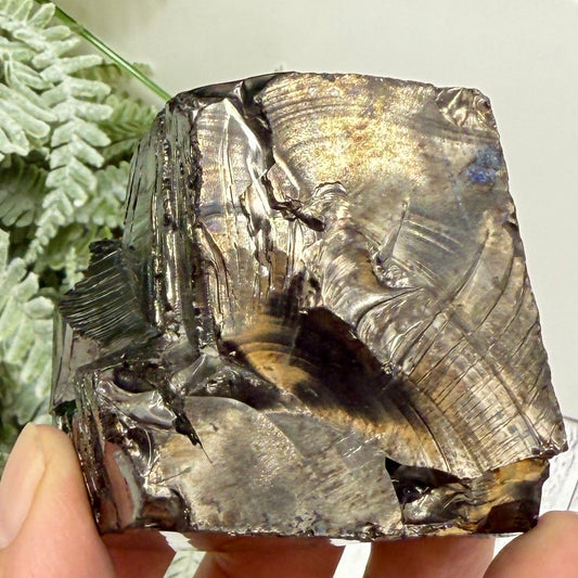 Elite Noble Shungite Raw Chunks Crystal Specimen EMF Protection 120g