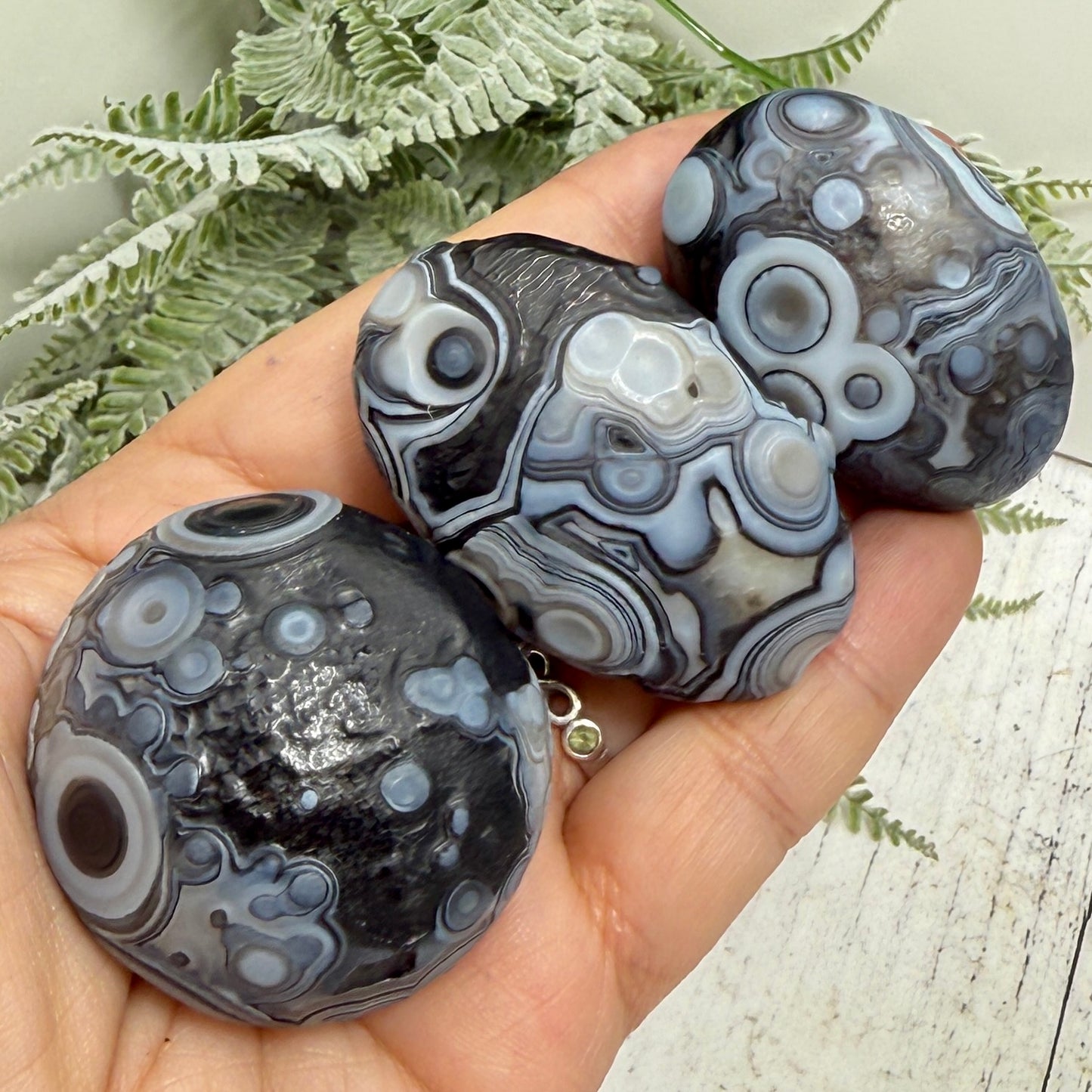 Gobi Desert Agate Palm Stones RARE Meditation Crystals YOU CHOOSE