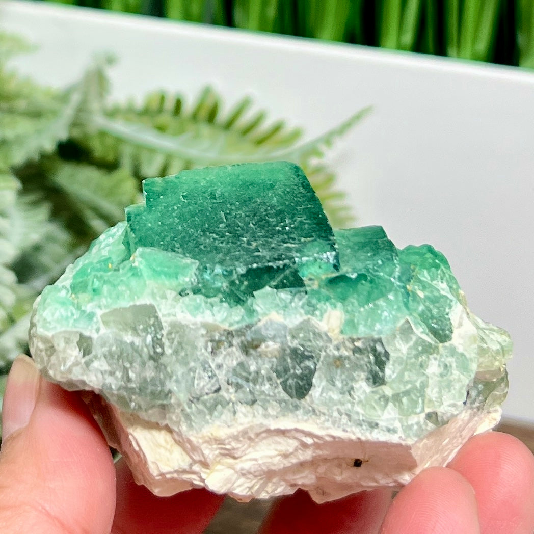 Fluorite Green Cube Cluster Natural Raw Specimen 246g