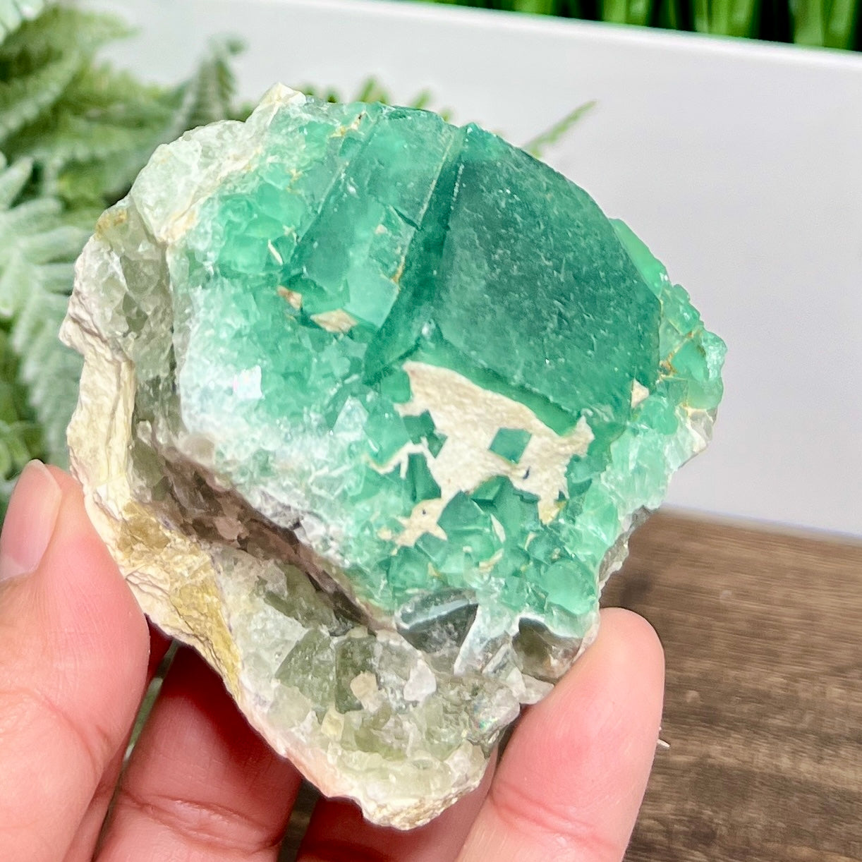 Fluorite Green Cube Cluster Natural Raw Specimen 246g