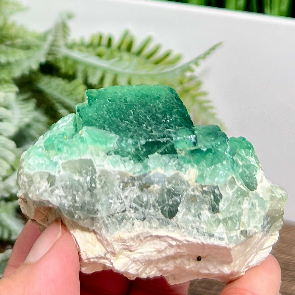 Fluorite Green Cube Cluster Natural Raw Specimen 246g