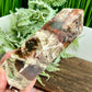 Red Moss Agate Tower Rare Healing Crystal Generator 543g 163mm