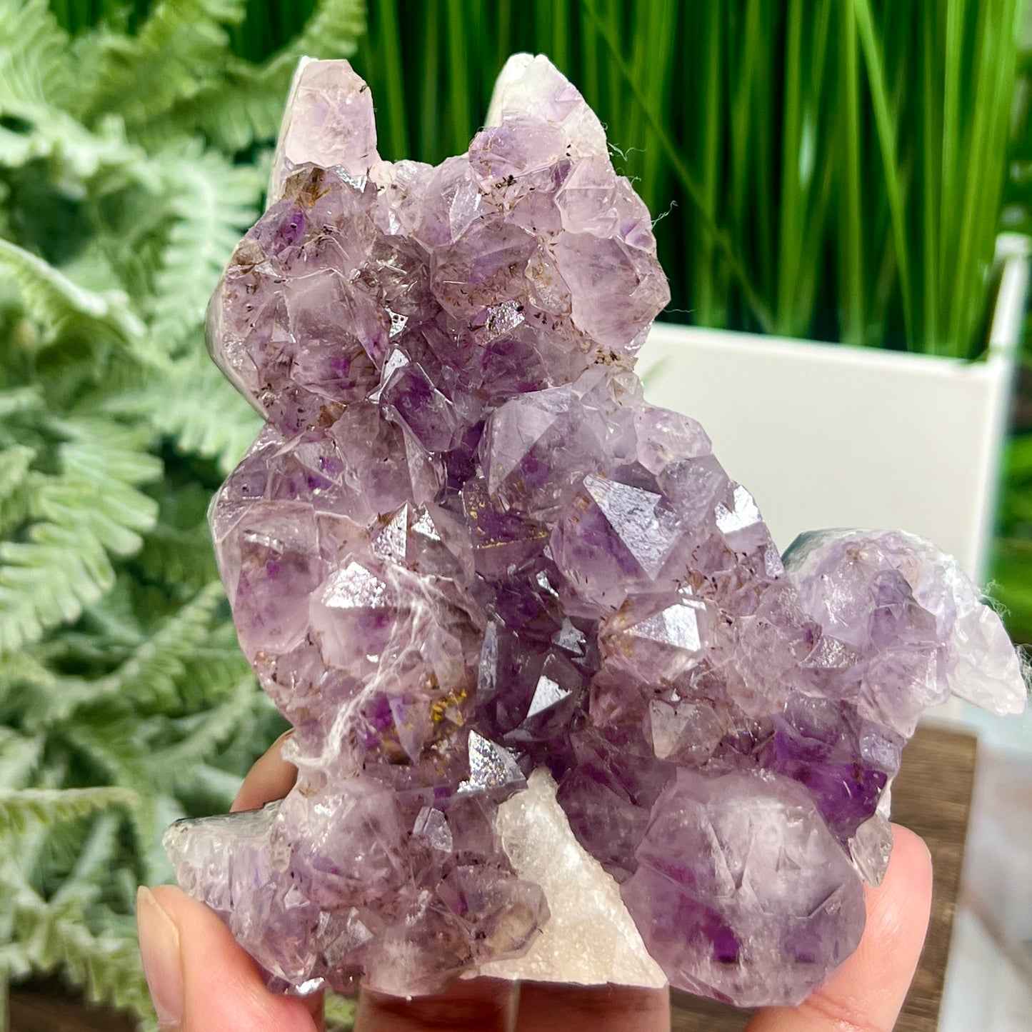 Amethyst with Cacoxenite Kitty Kitty Cat Cluster Animal Crystal Carving 522g