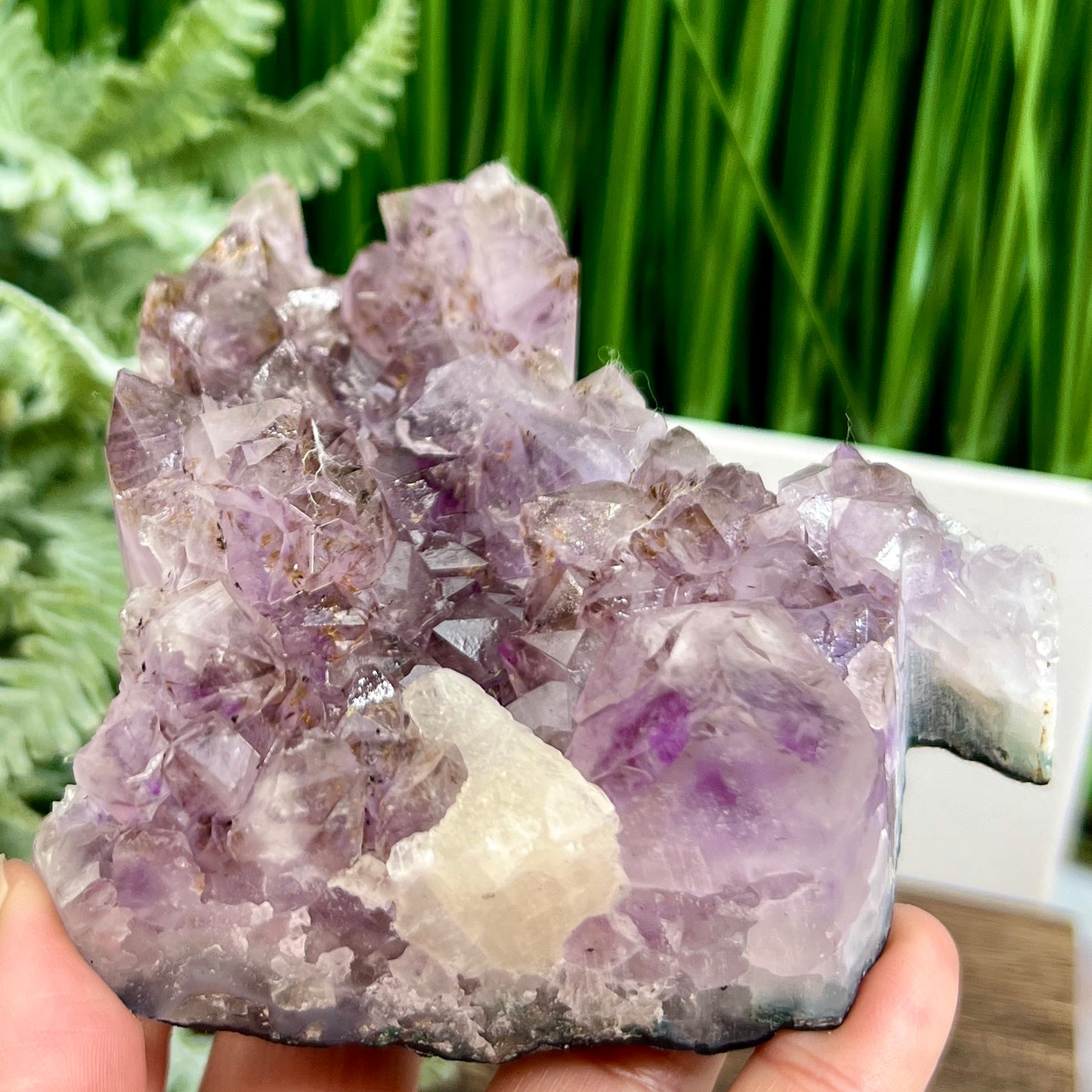 Amethyst with Cacoxenite Kitty Kitty Cat Cluster Animal Crystal Carving 522g