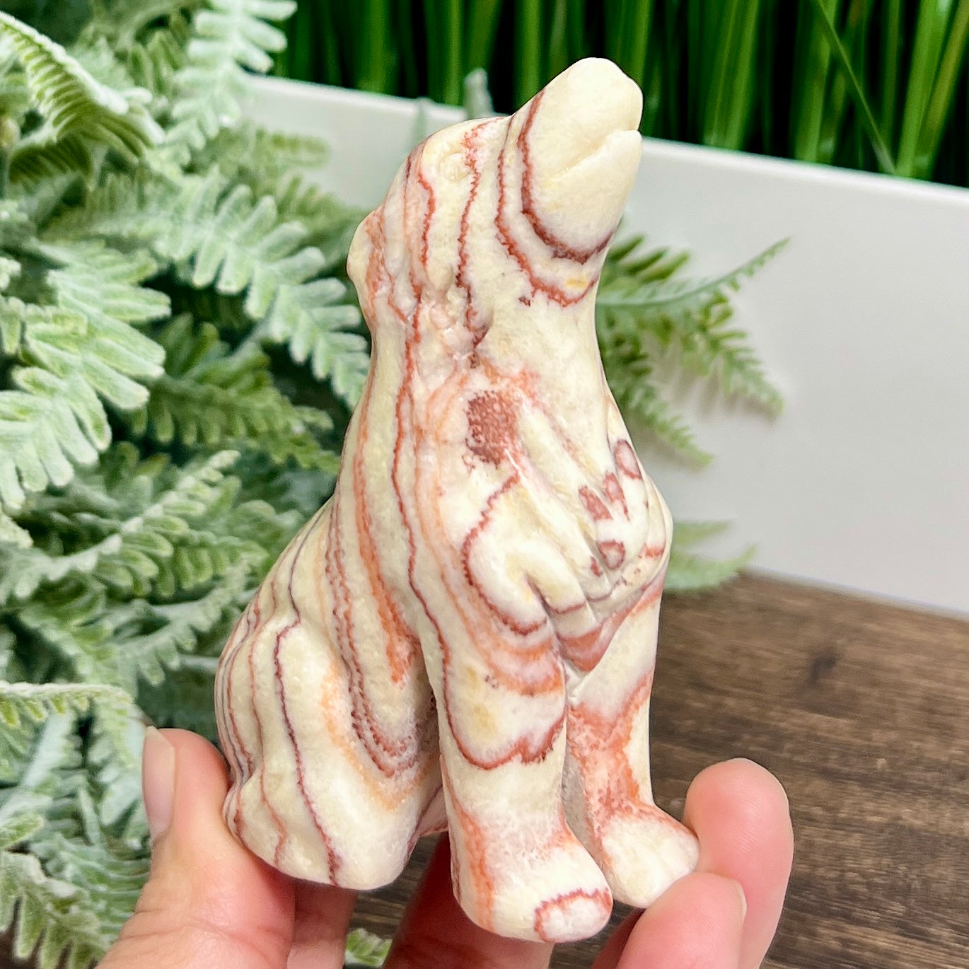 Large Dali Jasper Wolf Healing Crystal Carving 254g