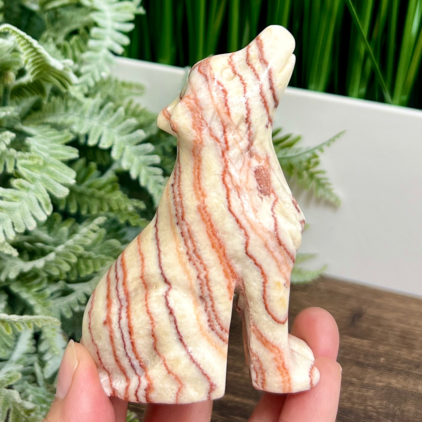 Large Dali Jasper Wolf Healing Crystal Carving 254g