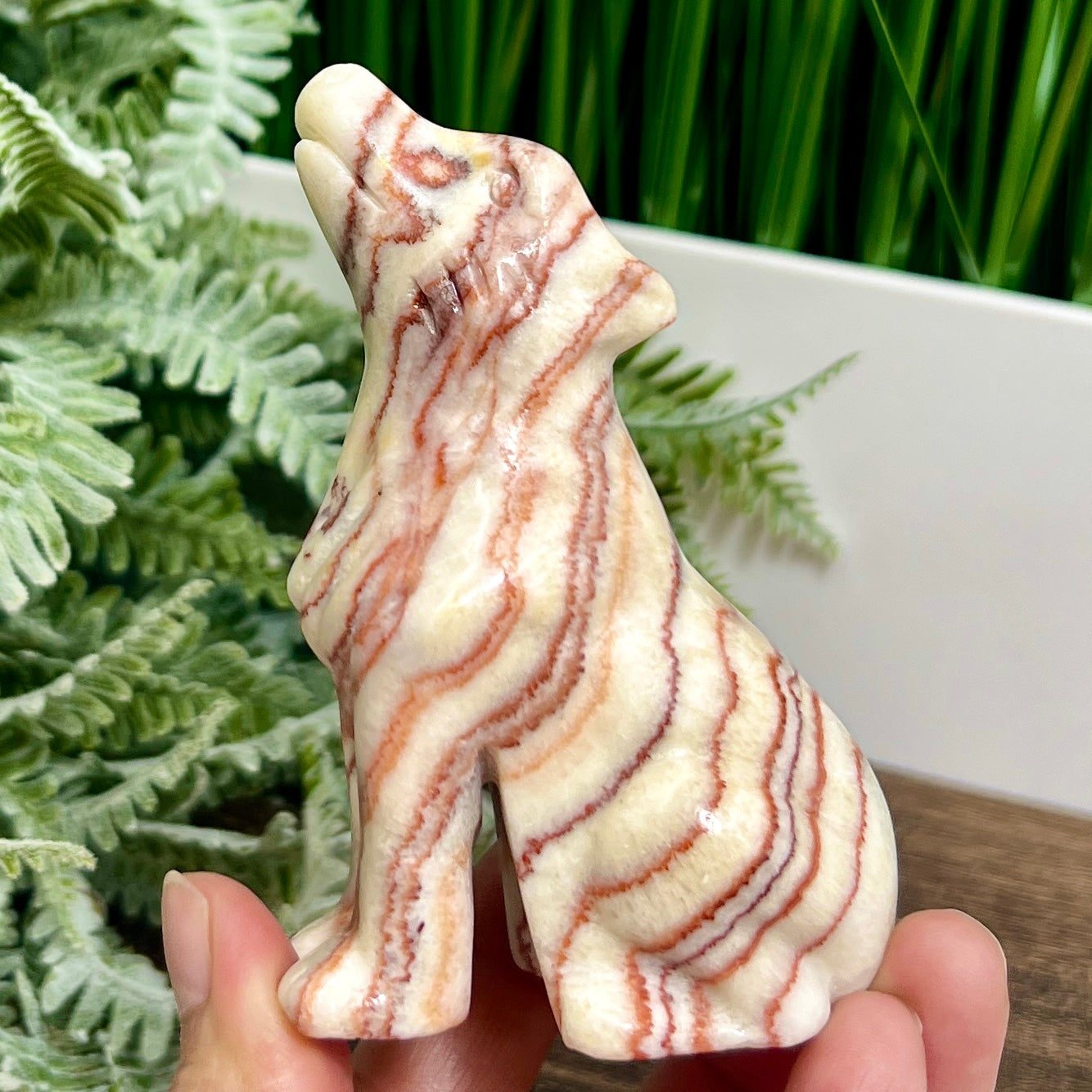 Large Dali Jasper Wolf Healing Crystal Carving 254g