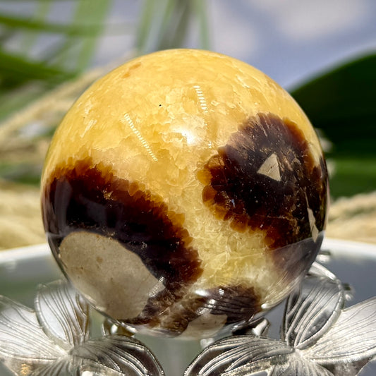 Septarian Jasper Dragon Stone Sphere Healing Crystal Ball 158g 48mm Diameter