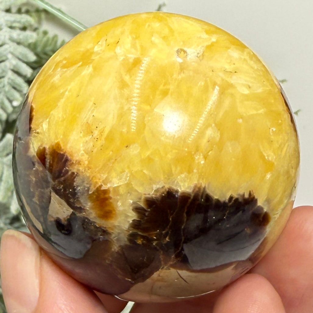 Septarian Jasper Dragon Stone Sphere Healing Crystal Ball 158g 48mm Diameter