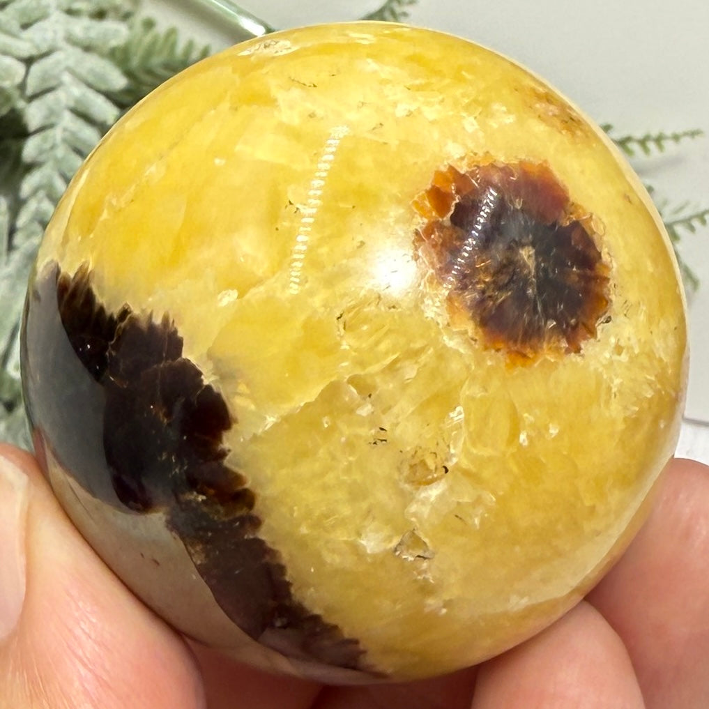 Septarian Jasper Dragon Stone Sphere Healing Crystal Ball 158g 48mm Diameter