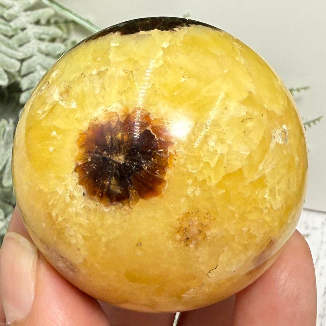 Septarian Jasper Dragon Stone Sphere Healing Crystal Ball 158g 48mm Diameter