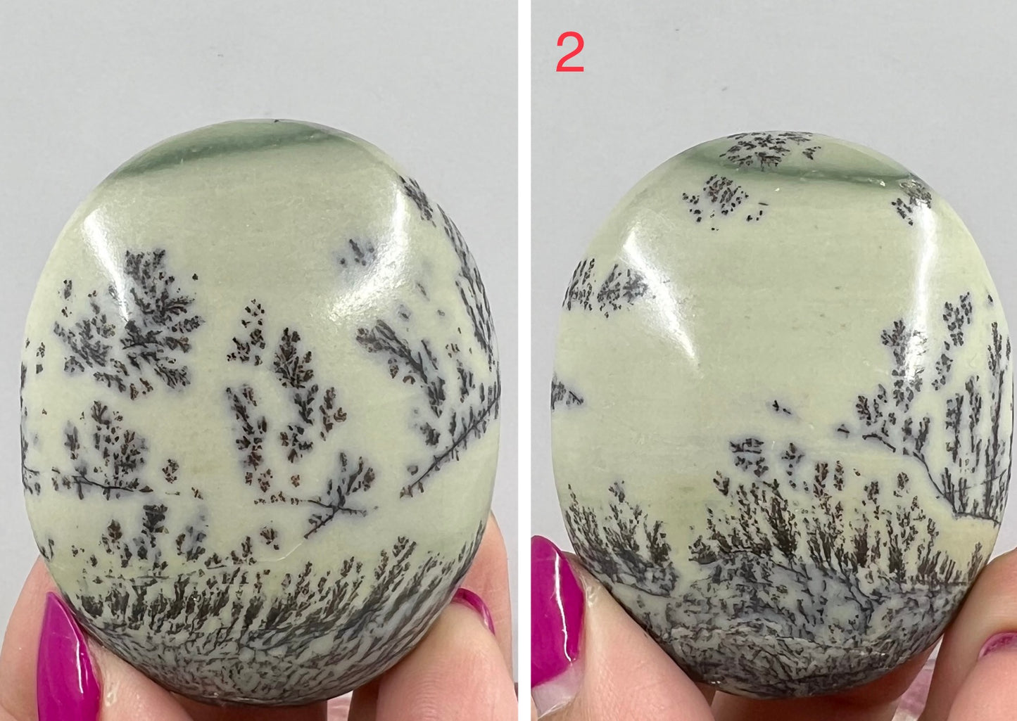 Dendritic Jasper Palm Stone Worry Crystal YOU CHOOSE