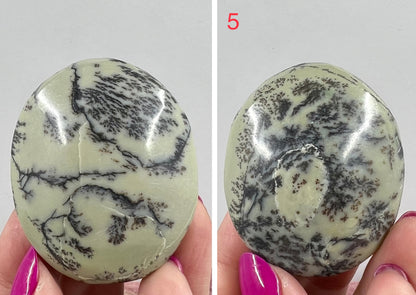 Dendritic Jasper Palm Stone Worry Crystal YOU CHOOSE