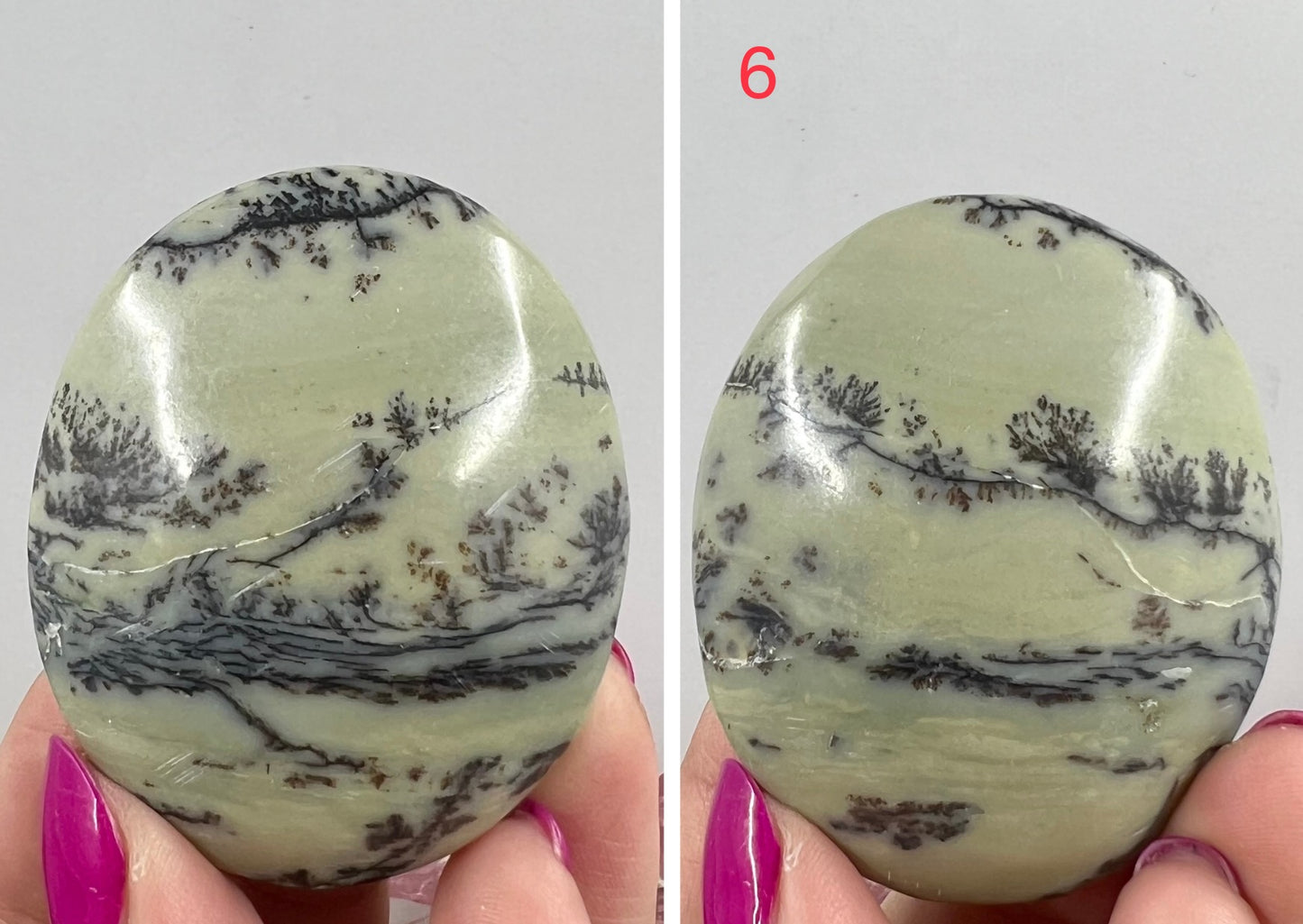 Dendritic Jasper Palm Stone Worry Crystal YOU CHOOSE