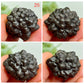 Prophecy Stones RARE Limonite Marcasite Raw Specimens Crystals