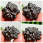 Prophecy Stones RARE Limonite Marcasite Raw Specimens Crystals