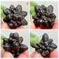 Prophecy Stones RARE Limonite Marcasite Raw Specimens Crystals
