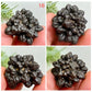 Prophecy Stones RARE Limonite Marcasite Raw Specimens Crystals