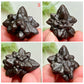 Prophecy Stones RARE Limonite Marcasite Raw Specimens Crystals