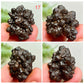 Prophecy Stones RARE Limonite Marcasite Raw Specimens Crystals