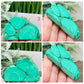 Malachite Slices Natural Specimens Healing Crystal Slabs