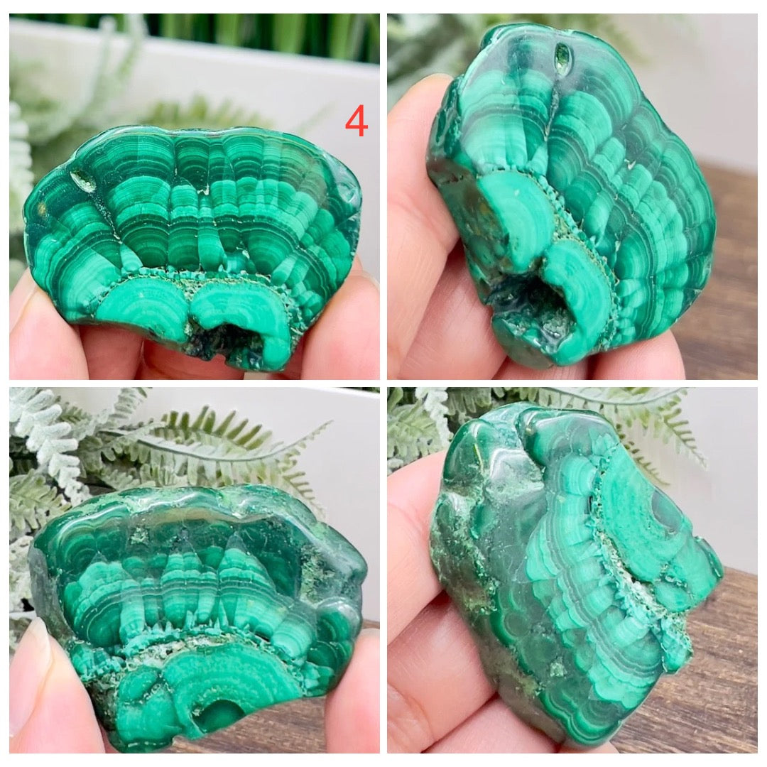 Malachite Slices Natural Specimens Healing Crystal Slabs