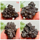 Prophecy Stones RARE Limonite Marcasite Raw Specimens Crystals