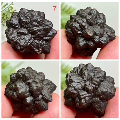 Prophecy Stones RARE Limonite Marcasite Raw Specimens Crystals