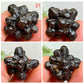 Prophecy Stones RARE Limonite Marcasite Raw Specimens Crystals