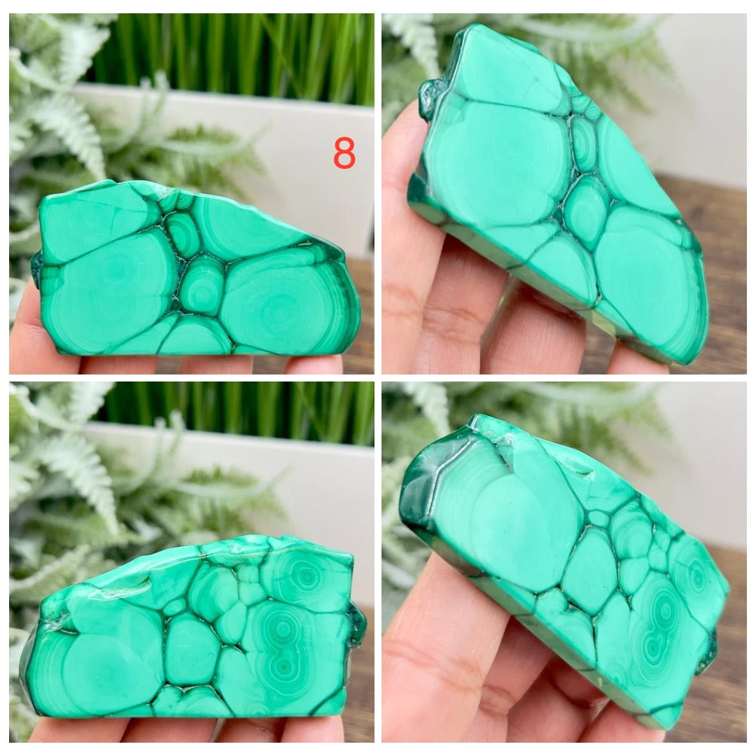 Malachite Slices Natural Specimens Healing Crystal Slabs