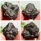 Prophecy Stones RARE Limonite Marcasite Raw Specimens Crystals