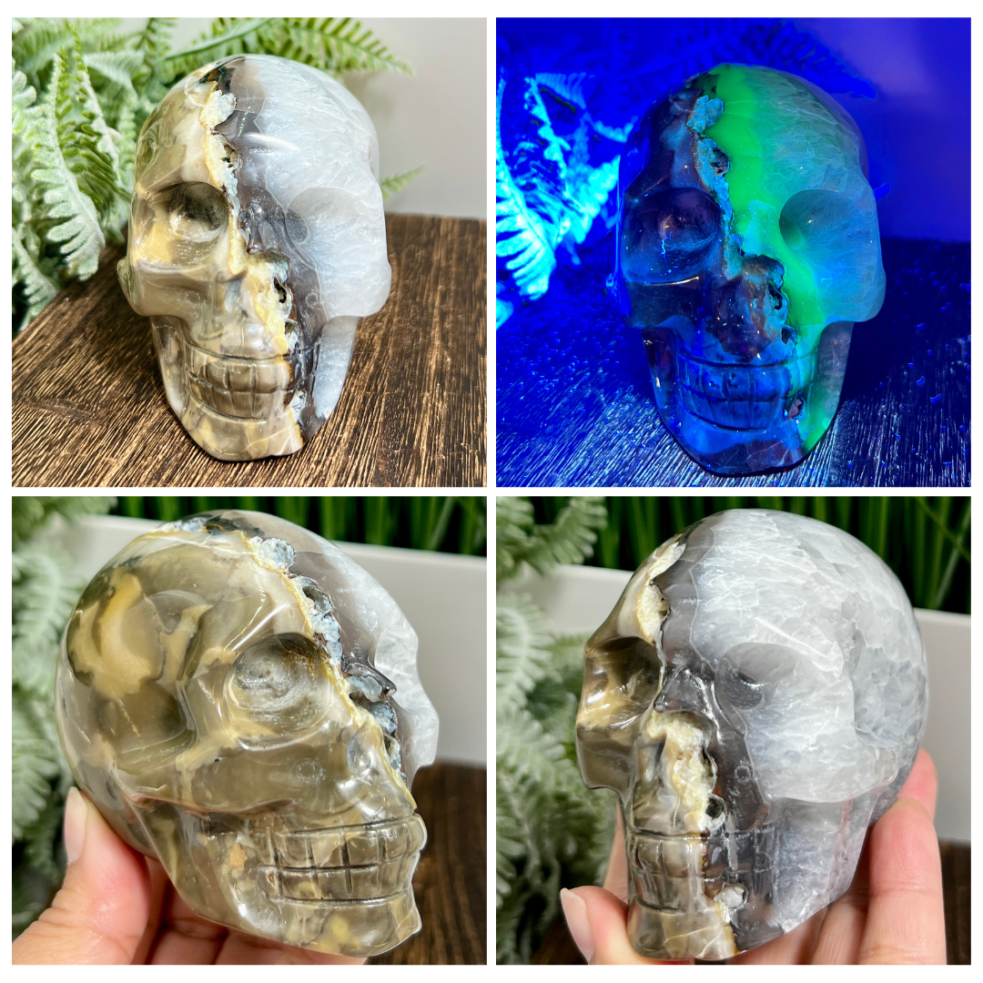 Volcanic Agate Quartz Skull UV Reactive Healing Crystal Carving 582g