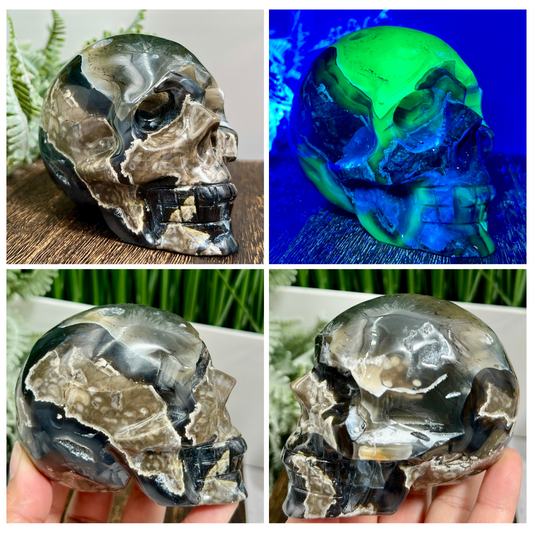 Volcanic Agate Skull UV Reactive Healing Crystal Carving 542g