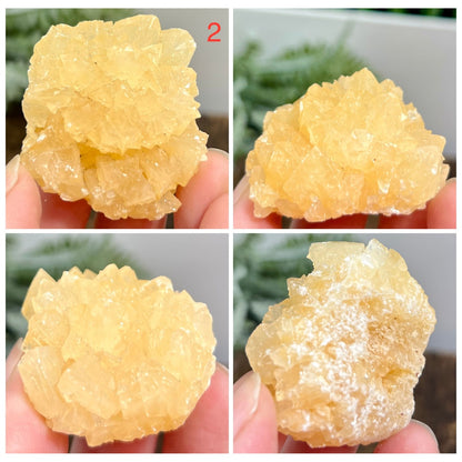 Yellow Calcite Clusters Natual Raw Specimens Crystals YOU CHOOSE
